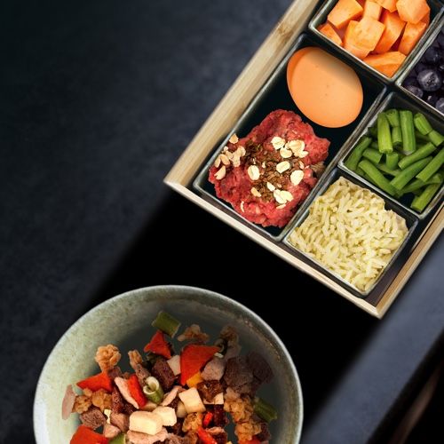 Nestle Purina Bentobox