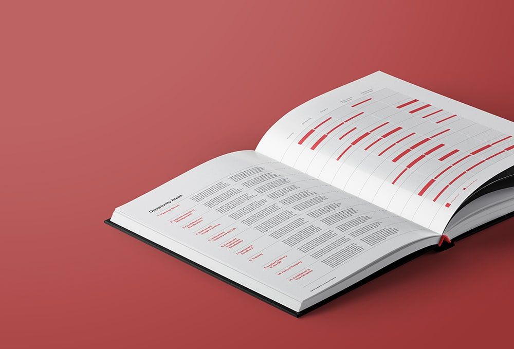 Depuy Synthes Opportunity Areas Book Spread Charts