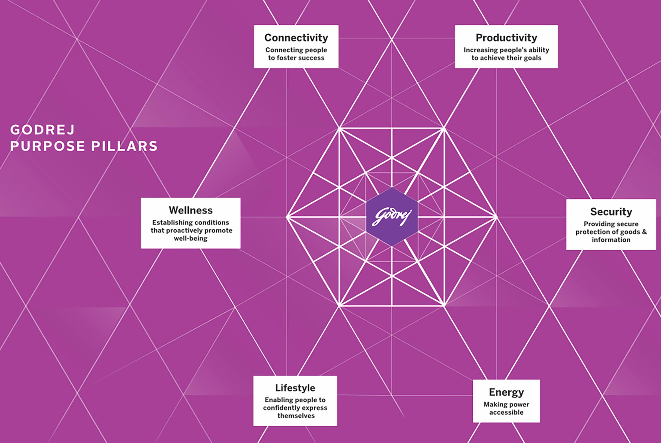 Godrej Purpose Pillars Diagram With Strategy Themes