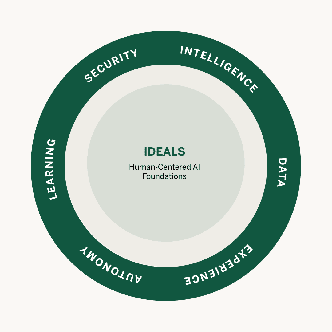 The IDEALS Model for Custom AI Implementation