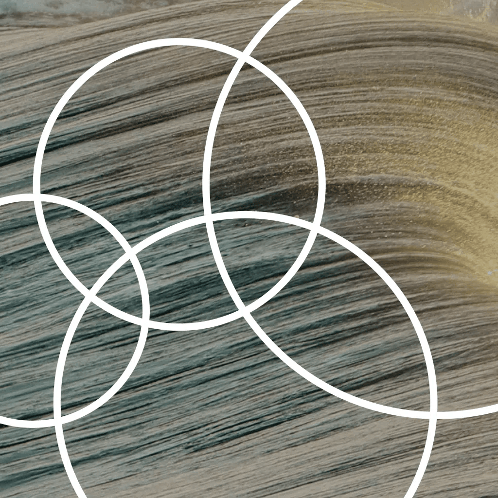 Design a winning innovation strategy: How to apply a ventures mindset for sustainable growth